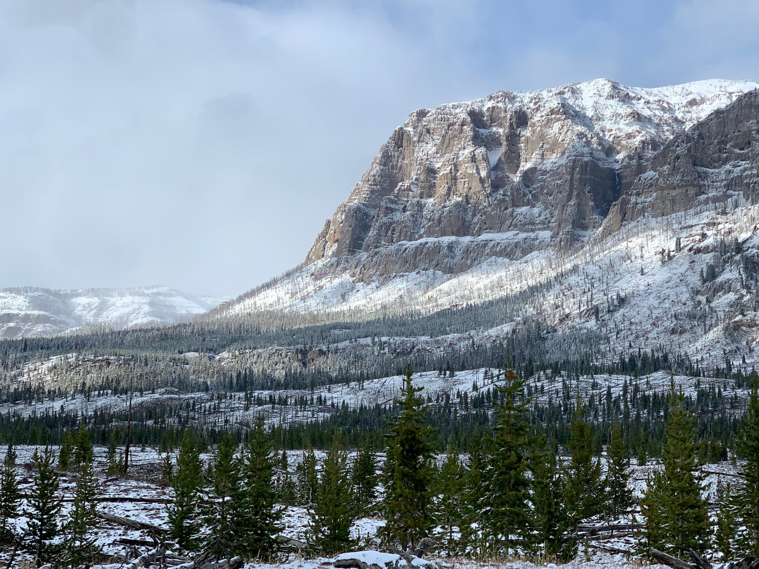 Thorofare Elk Hunting